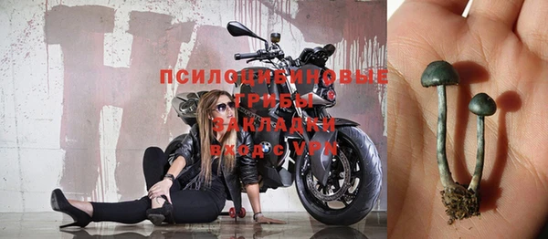 гидра Покров