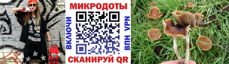 Галлюциногенные грибы прущие грибы  сайты даркнета состав  Кадников 
